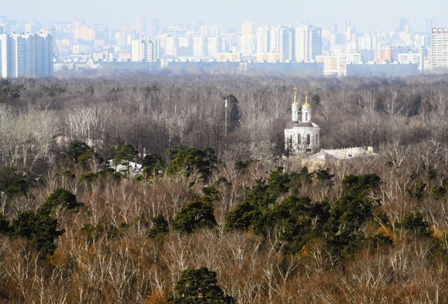 Влахернская жемчужина